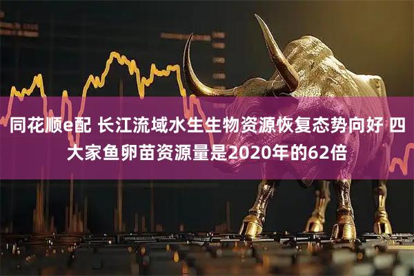 同花顺e配 长江流域水生生物资源恢复态势向好 四大家鱼卵苗资源量是2020年的62倍